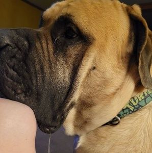 Meet your Posher, Connee